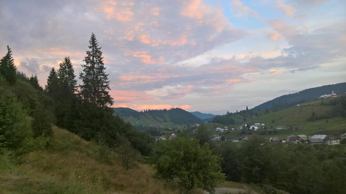 Vila Bucovina