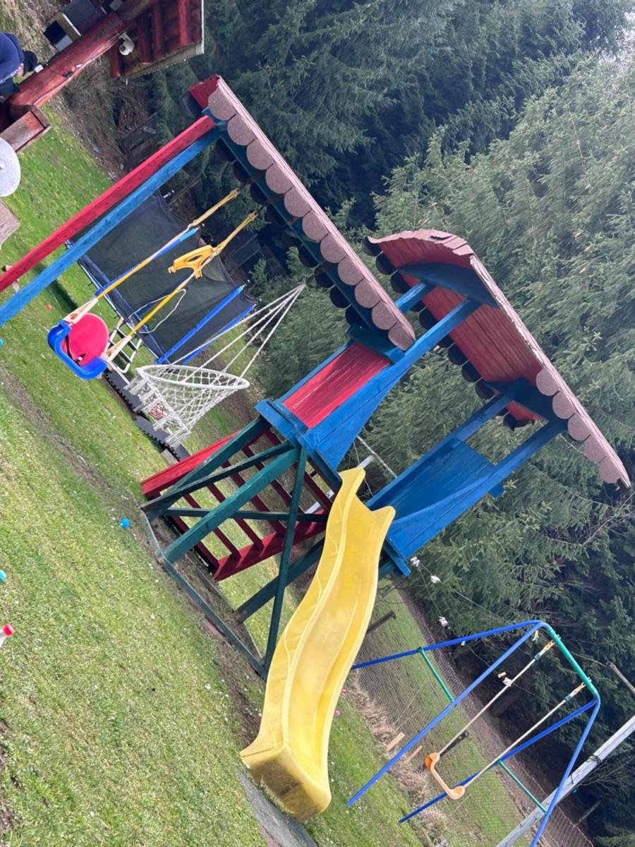 Vila Eliza Voronet