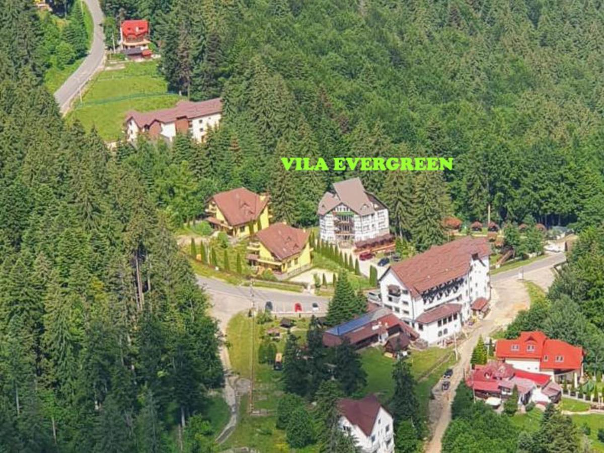 Vila Evergreen