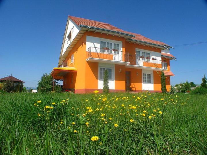 Vila Vlad