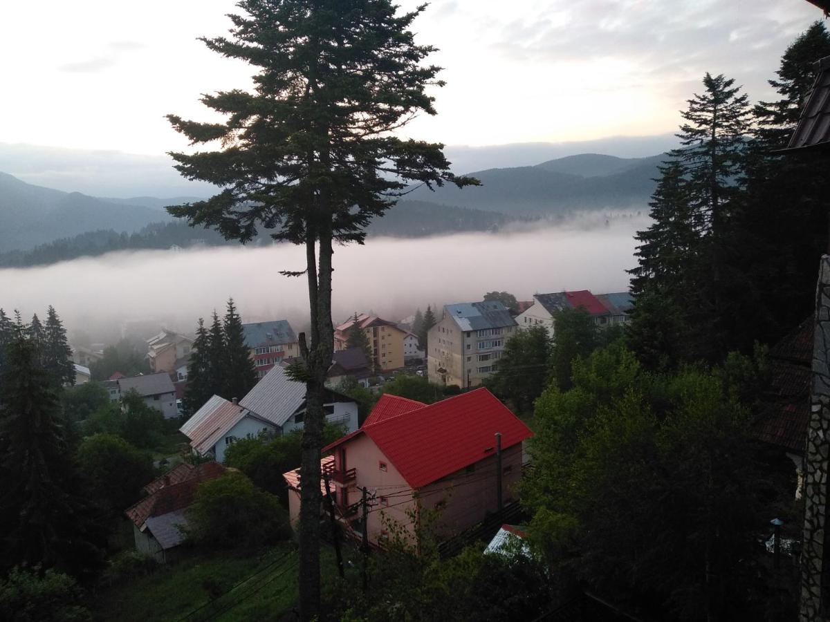 Villa Milcov